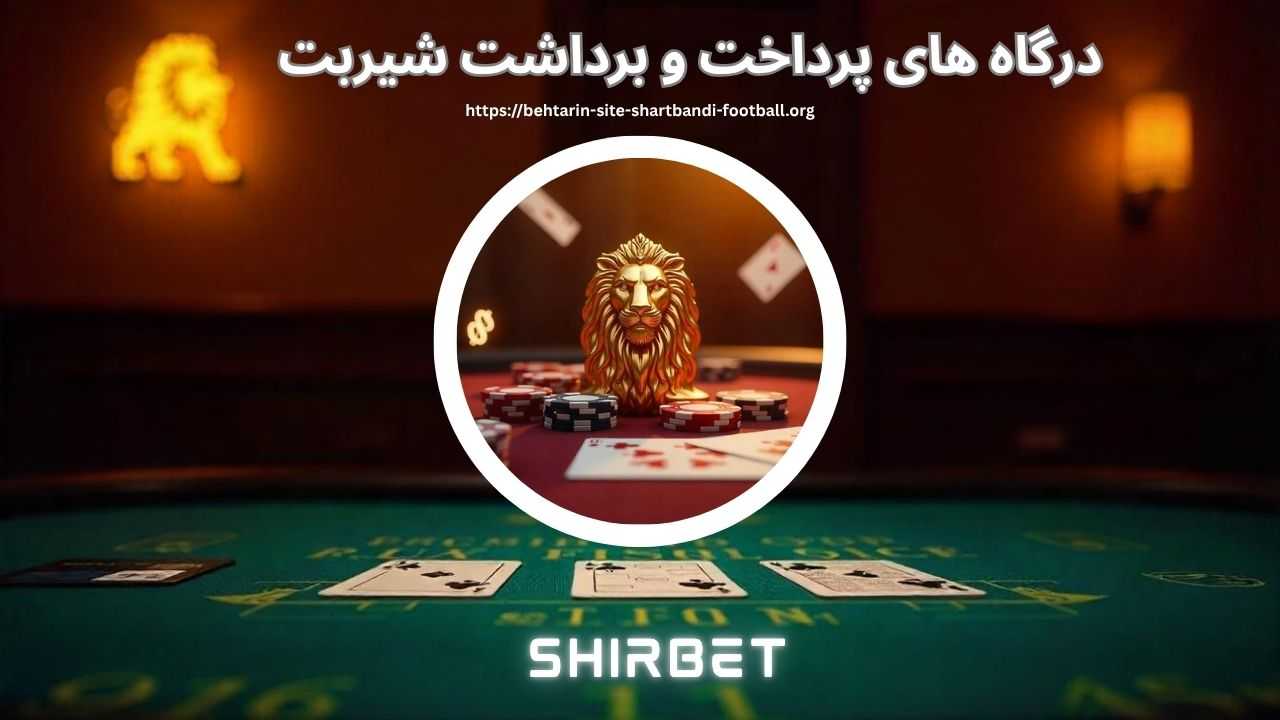 بررسی درگاه های پرداخت و برداشت در این سایت